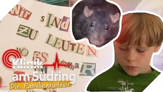 Haustiere entführt Wer hat Momos 8 Ratten geklaut  Die Familienhelfer  SAT1 [upl. by Yentruocal]