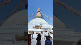 Nepal Tour shorts ytshorts nepal Bihari travel viralvideo youtube pasupatinathtemple [upl. by Seravaj]