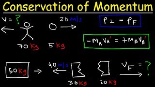 Conservation of Momentum Physics Problems  Basic Introduction [upl. by Phillipp154]