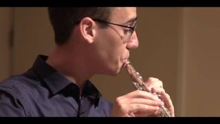 F Schubert  Ständchen Serenade for Flute and Piano HD [upl. by Kedezihclem]