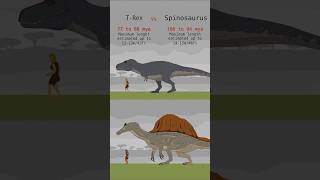 TRex vs Spinosaurus vs Human Carnivore dinosaurs size comparison [upl. by Nedak]