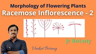 Racemose Inflorescence  2  Morphology of Flowering Plants  Jr Botany [upl. by Oralee]