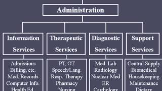 Hospital Organizational Structure [upl. by Zizaludba916]