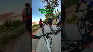 🚀MTB 📍Elche Ilicitanos a la montaña mtb bicicleta elche deportes Ciclismo montaña [upl. by Hgalehs547]