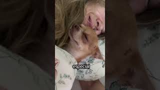 Você dorme com seu cachorro na sua cama  cães filhopet maedepet cachorros [upl. by Boigie]