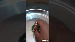 Laddu gopal morning routine hindisong youtubeshorts mohan laddu gopal life newreel [upl. by Woodsum946]