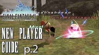 FFXI  New Player Guide  Part 2 Quick Leveling Tips Easy Free EXP and Gil and Gear [upl. by Nosrettap515]