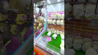 おくるみベビーなまがきが可愛過ぎる クレーンゲーム つぶらな瞳 確率機 ゲーセン clawmachine [upl. by Shanly]