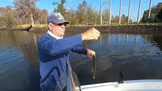 Crappie ON with Chris Savana Georgia on the Ogeechee River [upl. by Ribble]