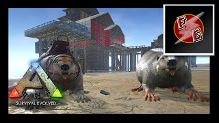 ARK Survival Evolved  BEAVERS Gameplay [upl. by Alleuol326]