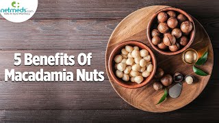 Top 5 Health Benefits Of Macadamia Nuts [upl. by Swart]