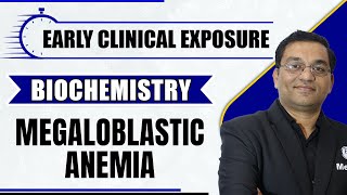 Megaloblastic Anemia  Early Clinical Exposure  Biochemistry  MBBS  Dr Rajesh [upl. by Ittak795]