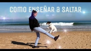 como ENSEÑAR a tu perro a SALTAR ad [upl. by Rhea86]