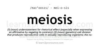 Pronunciation of Meiosis  Definition of Meiosis [upl. by Kendricks]