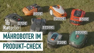 Mähroboter – Review und Test der fleißigen Rasenmäher  Die Ratgeber [upl. by Barden470]