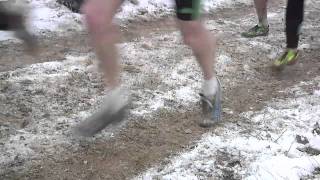 Championnat de France cross country [upl. by Benildis]