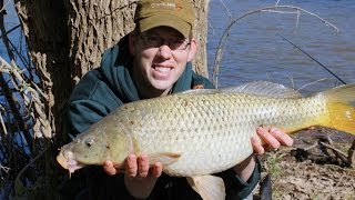 Catching carp with corn in Virginia [upl. by Avrenim]