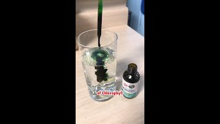 Chlorophyll Water for Summer [upl. by Saxe]