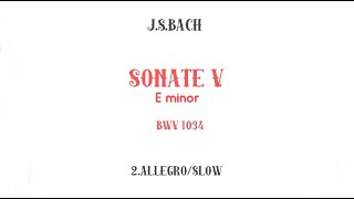 JSBach FLUTE SONATA in E minor BWV 1034accompaniment 2ALLEGRO SLOW [upl. by Leifer791]