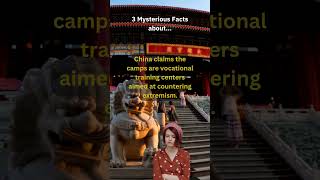 Uyghur Internment Camps in China [upl. by Cornia418]