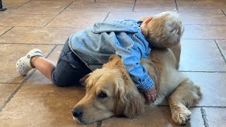 Adorable baby Boy Has A Special Bond With Golden Retriever So Cute [upl. by Vyner684]