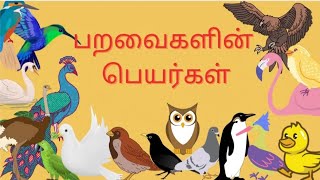 பறவைகளின் பெயர்கள் birds name in tamilTiny Stories [upl. by Santana]