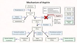 Antiplatelet drugs mechanism of action [upl. by Justicz440]