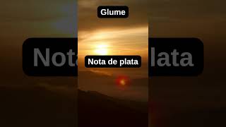 Glume [upl. by Roberto]