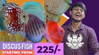 F J DISCUS  DISCUS FISH FOR SALE IN MUMBAI [upl. by Netsirt]