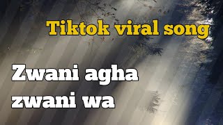 Full song  Zwani agha zwani wa che da yaar pa gham ki lara Pashto Songs Afghani Music پشتو HD [upl. by Enelia]