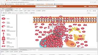 Rare Cancer MetaAnalysis pt53 Using Pathway Studio to identify biological subgroups [upl. by Peale228]