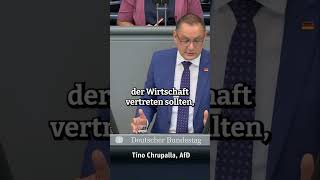 GRÜNE Politik AHNUNGSLOSE Steuergeldverschwendung  afd bundestag [upl. by Deelaw]