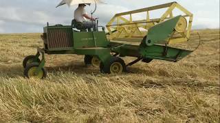 Windrowing oats with the old 800 [upl. by Spike]