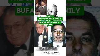 Bufalino Family amp Gambino Family Dispute Pt 2 [upl. by Stulin]