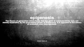 What does epigenesis mean [upl. by Daniell521]