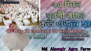 25 দিনে ব্রয়লার মুরগি কত ওজন হবে। 20 day boylar murgi koto ojon hobe🥰🥰 [upl. by Ruffina]