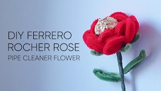 How to Make  DIY Ferrero Rocher Rose Flower with Pipe Cleaners ดอกกุหลาบเฟอเร่โร่จากลวดกำมะหยี่ [upl. by Nichola185]