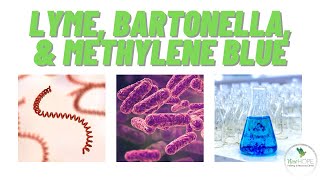 Lyme Bartonella and Methylene Blue [upl. by Juliette403]