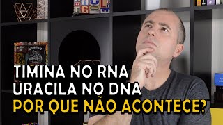 Por que não existe Uracila no DNA e Timina no RNA [upl. by Yenalem859]