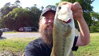 Fishing For Bass and Bluegill With Fake Worms amp Swimbaits Nice Bass [upl. by Meid]