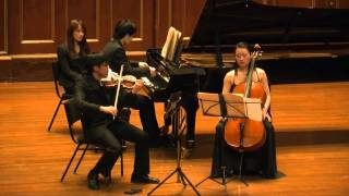 Tchaikovsky Piano Trio in A minor Op 50 [upl. by Ikcin339]