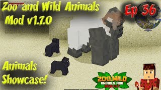 Zoo and Wild Animals Mod Animal Showcase v170 60FPS Animals in Minecraft Ep33 [upl. by Inihor]