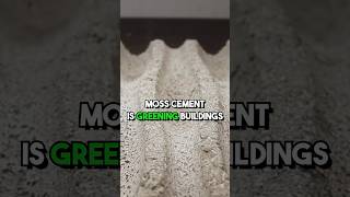 Moss Cement is greening our buildings sustainability climatechange ecofriendly [upl. by Egreog939]