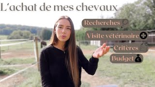 ACHAT DE MES CHEVAUX  recherches critères visite vétérinaire budget [upl. by Schuler]