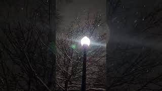 Enjoy snow fall over a lamp post looks really amazing 4K [upl. by Keating]