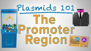 The Promoter Region  Plasmids 101 [upl. by Skcirdnek]