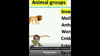 Classifying Animals in 2024 Vertebrates vs Invertebrates  Explained in Detail Generated using AI [upl. by Maressa366]