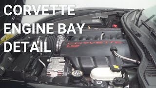 How I Detail My Corvette Engine Bay [upl. by Benedikt]