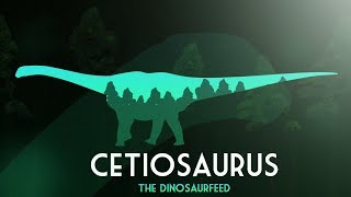 Dinosaur Facts  Cetiosaurus The Whale Lizard [upl. by Rego957]