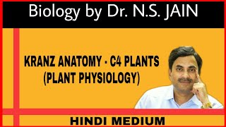 Kranz Anatomy  C4 Plants  Plant Physiology Hindi Medium [upl. by Kcinemod]